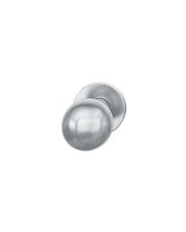 Vaste deurknop 0802 (Inox)